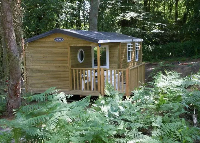 Domaine Résidentiel De Plein Air La Chênaie Camping *